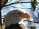 dscn2356.jpg