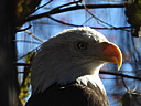dscn2357.jpg