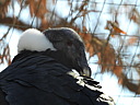 dscn2358.jpg