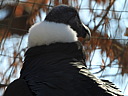 dscn2359.jpg