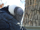 dscn2361.jpg