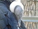dscn2362.jpg
