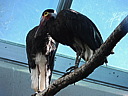 dscn2368.jpg