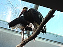 dscn2371.jpg