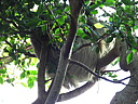 dscn2372.jpg