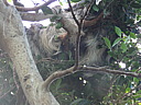 dscn2374.jpg