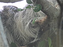 dscn2375.jpg