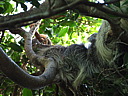 dscn2376.jpg