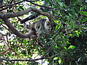 dscn2377.jpg
