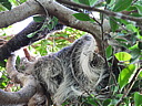 dscn2379.jpg