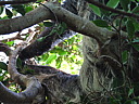 dscn2380.jpg