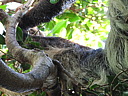 dscn2381.jpg