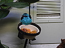dscn2386.jpg