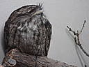 dscn2389.jpg