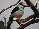 dscn2391.jpg