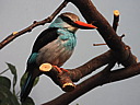 dscn2392.jpg
