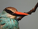 dscn2395.jpg