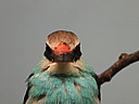 dscn2396.jpg