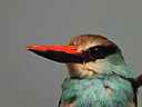 dscn2397.jpg