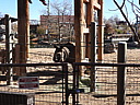 dscn2398.jpg