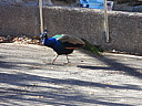 dscn2399.jpg