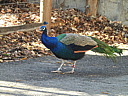 dscn2400.jpg