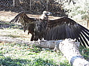dscn2405.jpg