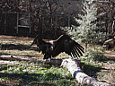 dscn2406.jpg