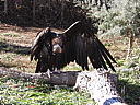 dscn2407.jpg