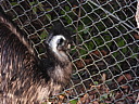 dscn2408.jpg
