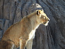 dscn2410.jpg