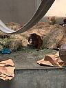 img_0306.jpg
