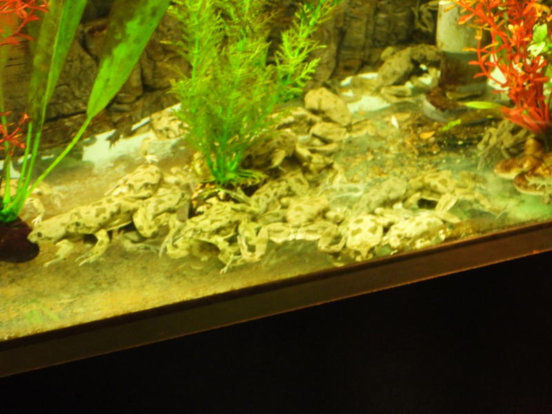 dscn0204.jpg