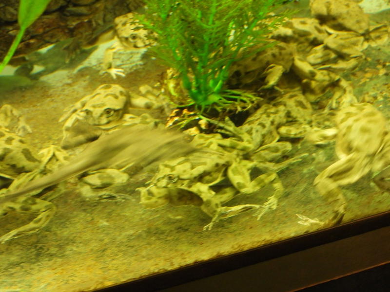 dscn0206.jpg