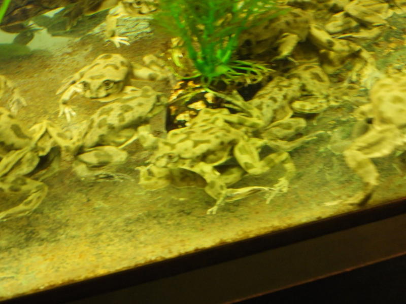 dscn0207.jpg