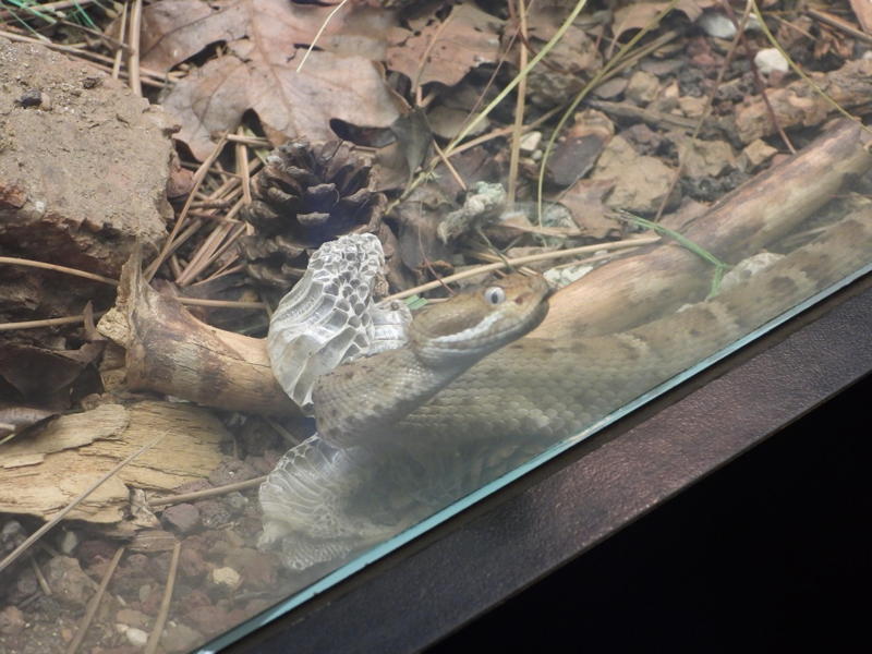 dscn0209.jpg