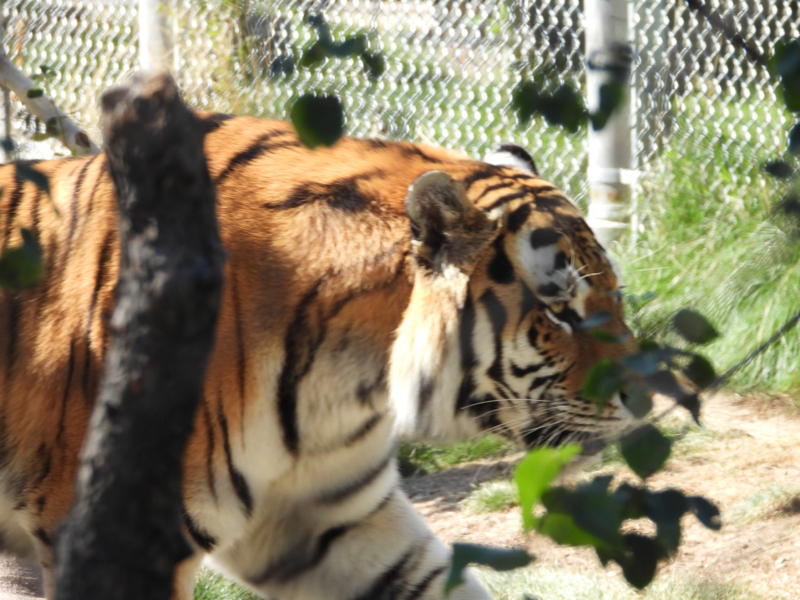 dscn0224.jpg