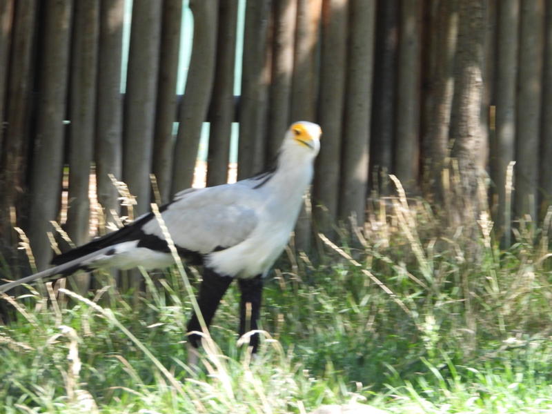 dscn0238.jpg