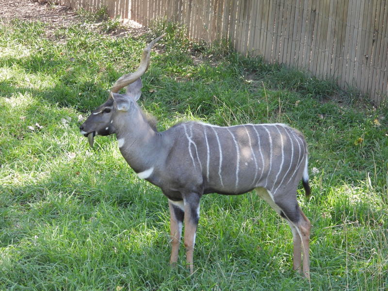 dscn0277.jpg