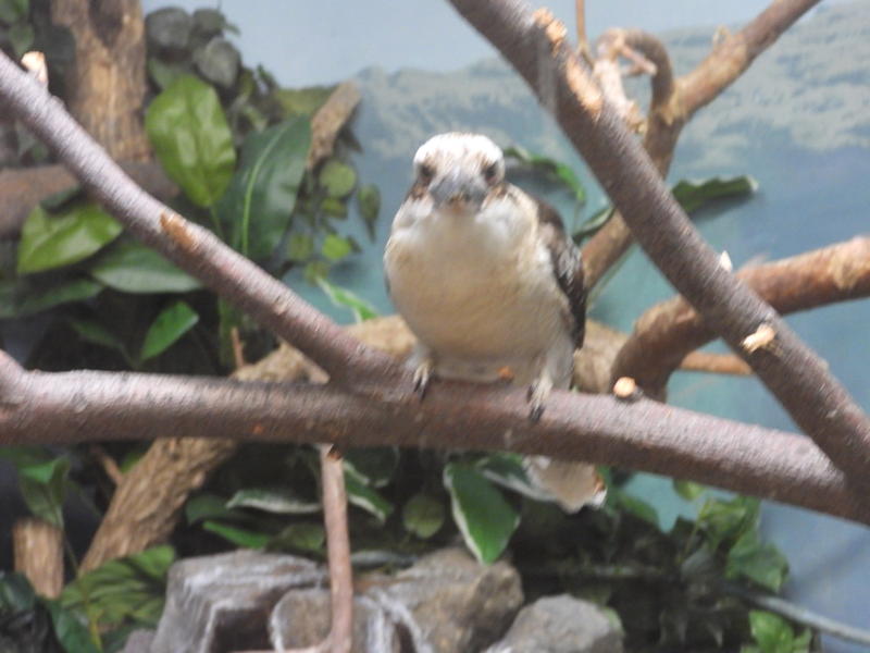 dscn0287.jpg
