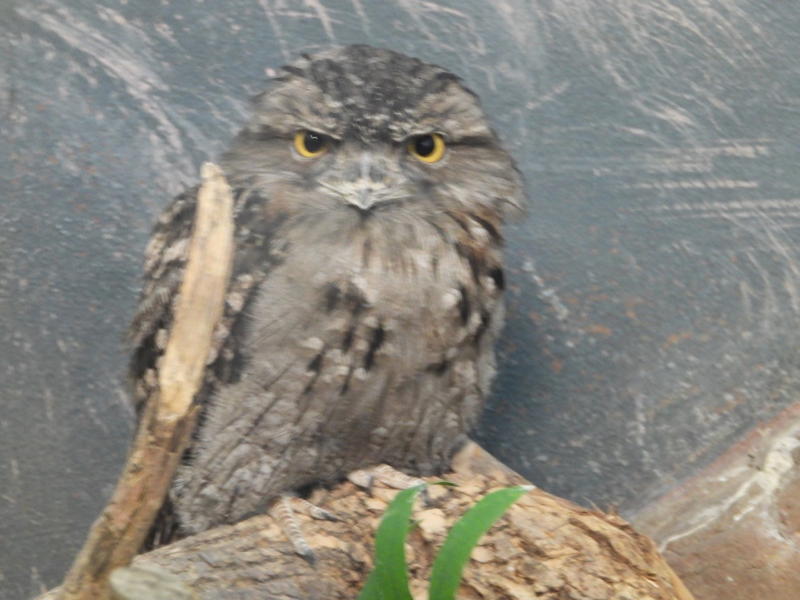 dscn0292.jpg