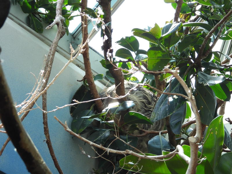 dscn0310.jpg