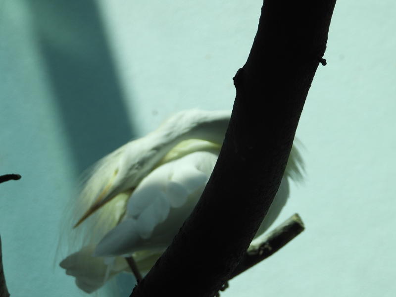 dscn0312.jpg
