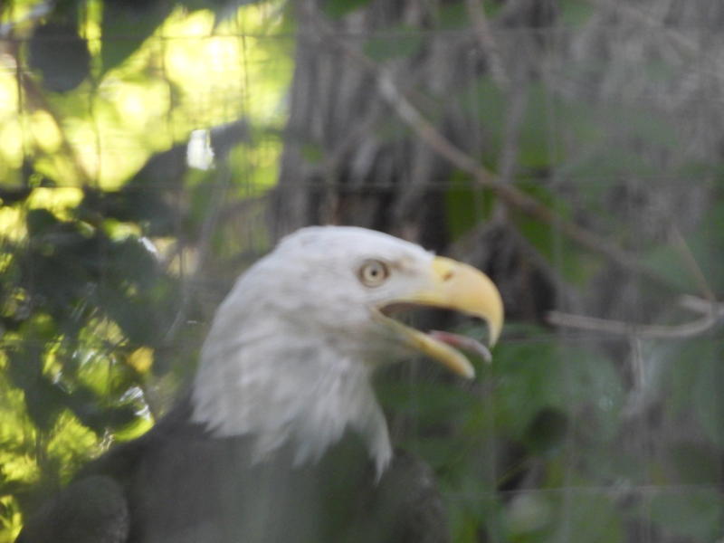 dscn0320.jpg