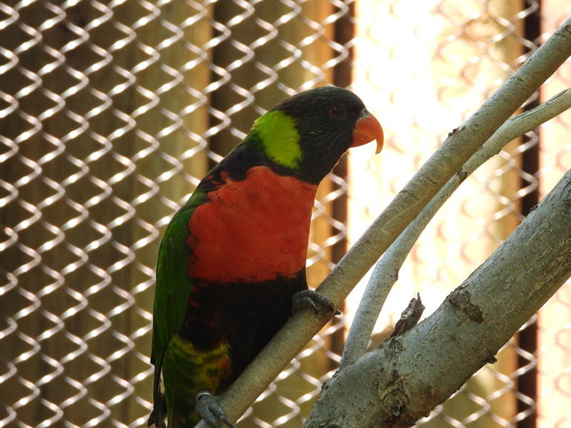 dscn0325.jpg