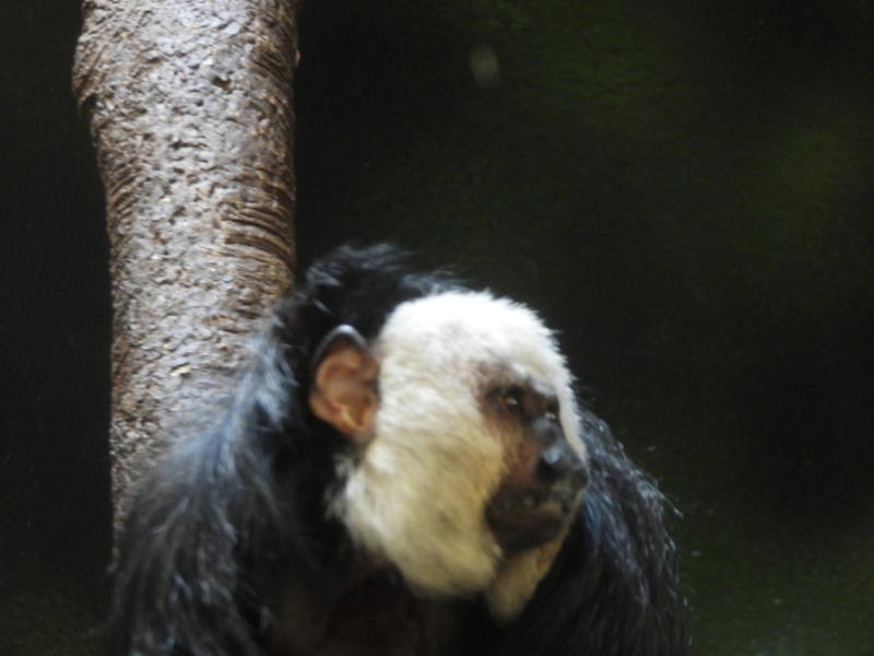 dscn0343.jpg