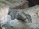 dscn0160.jpg