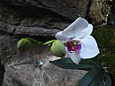 dscn0161.jpg