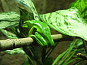 dscn0162.jpg