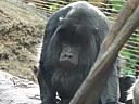 dscn0164.jpg